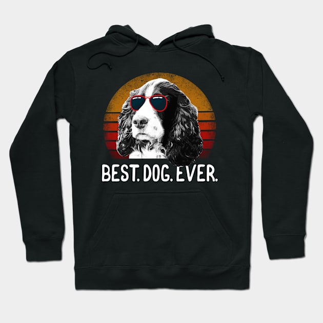 English Springer Spaniel Hoodie by AllWellia